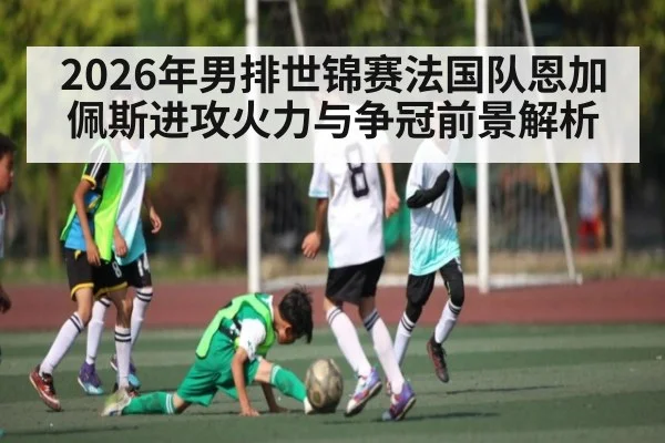 2026年男排世锦赛法国队恩加佩斯进攻火力与争冠前景解析